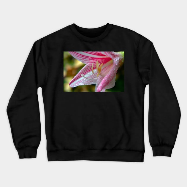 pink and white flower Crewneck Sweatshirt by likbatonboot